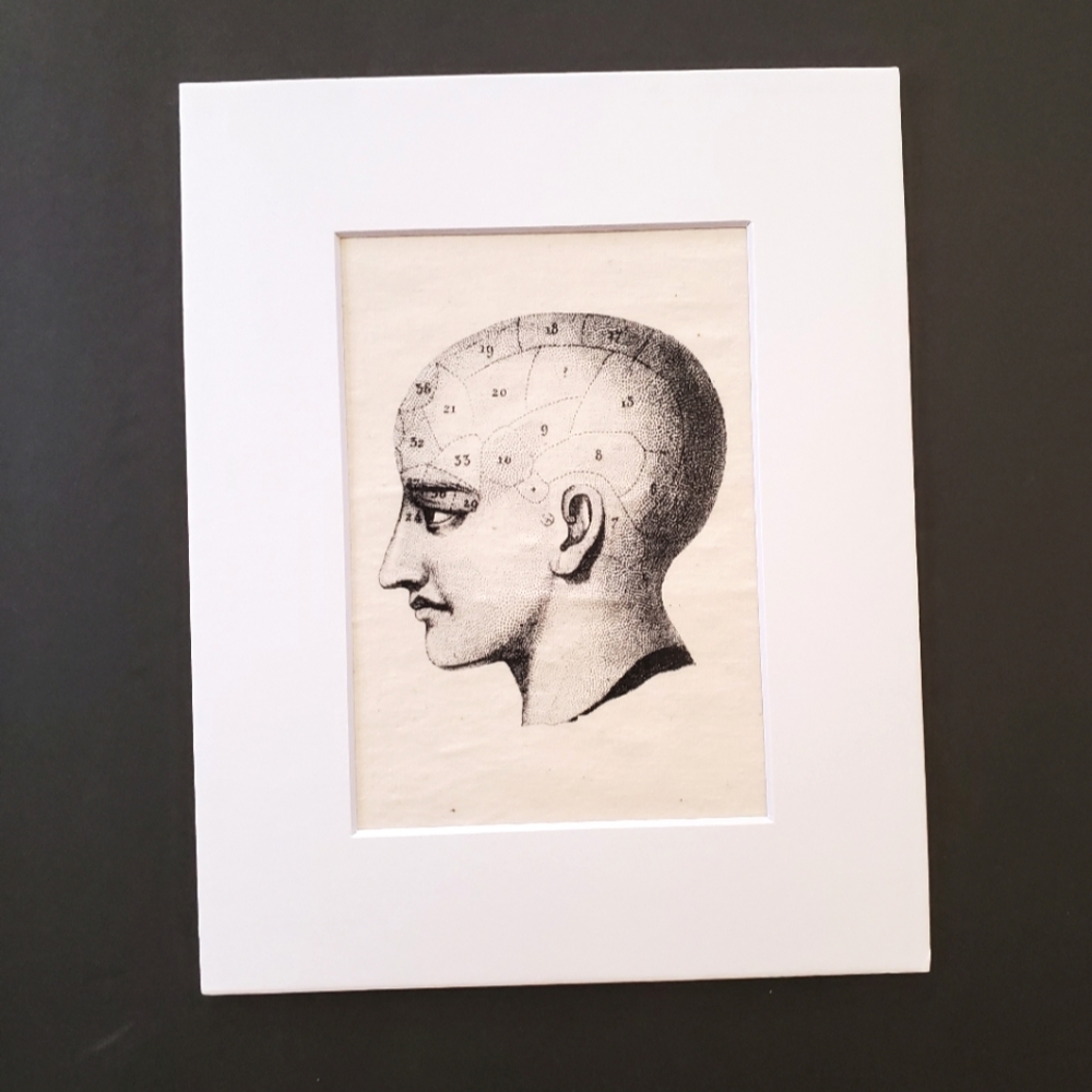 Anatomy print